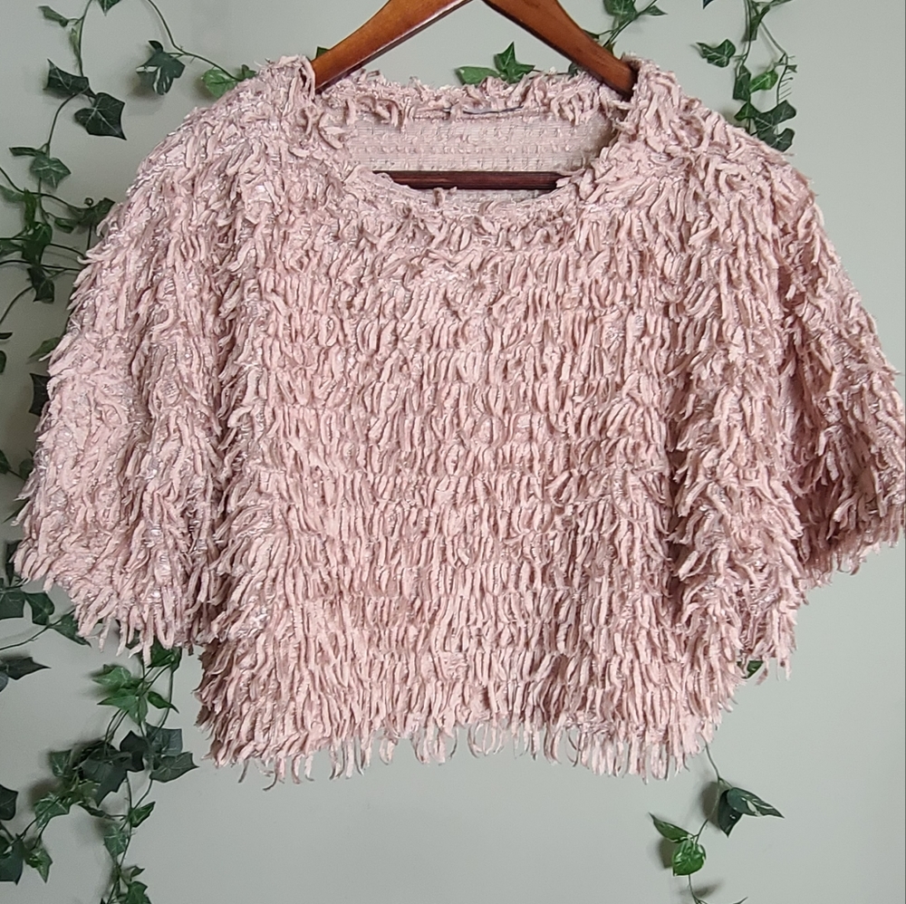 Zara Shag Muave Crop Top